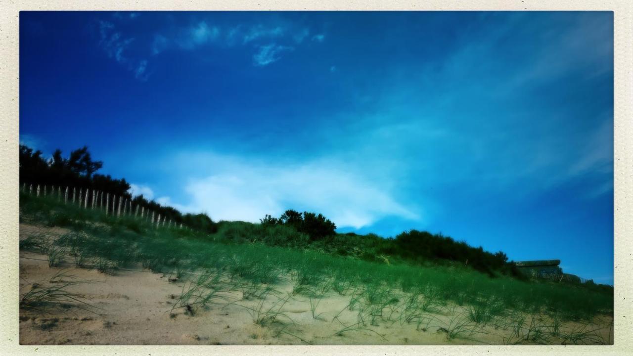 Maison Face Au Soleil Le Bois-Plage-en-Ré Kültér fotó