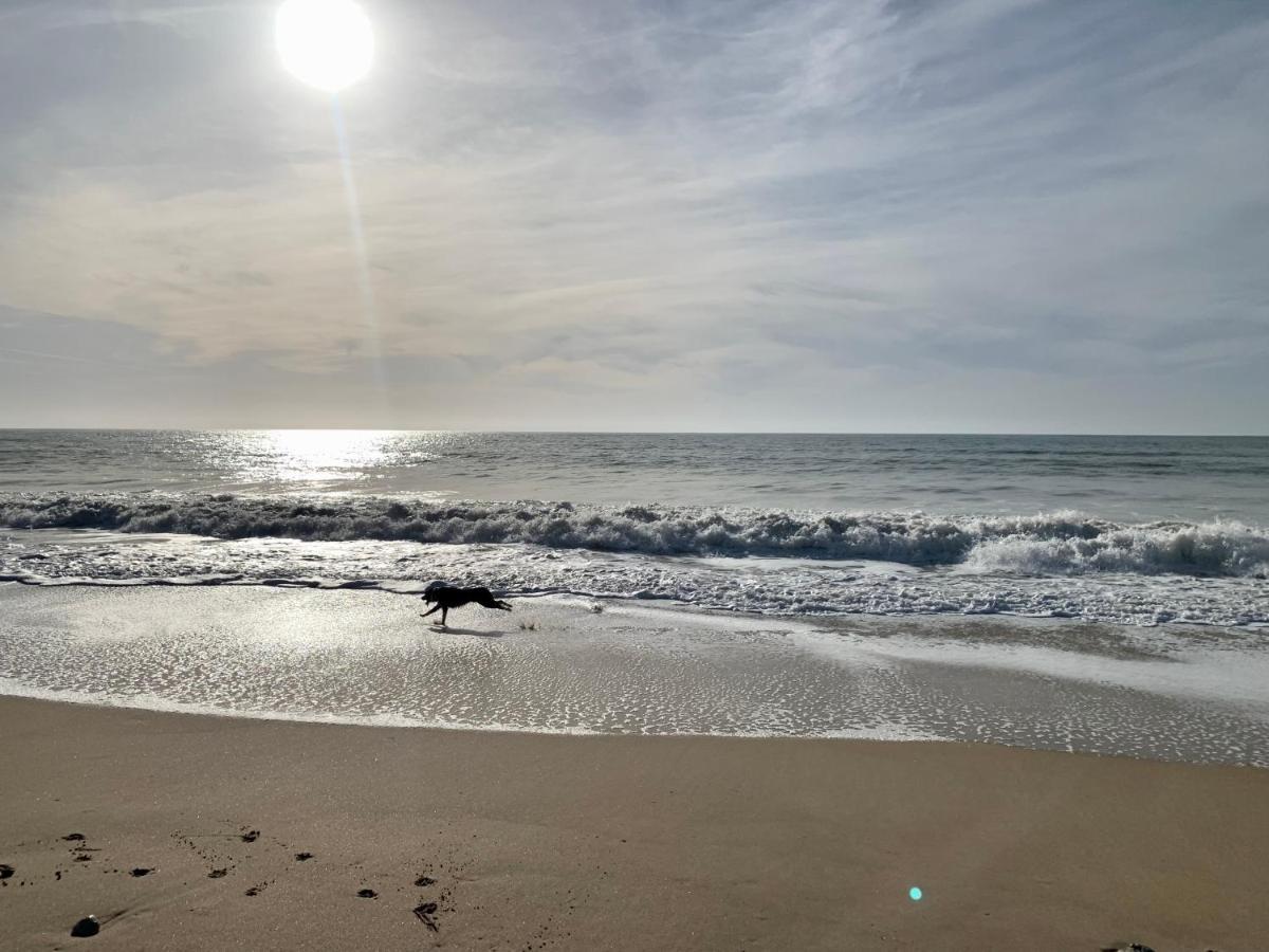 Maison Face Au Soleil Le Bois-Plage-en-Ré Kültér fotó