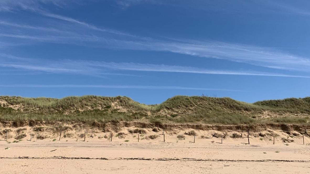 Maison Face Au Soleil Le Bois-Plage-en-Ré Kültér fotó